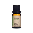 Óleo Essencial Tea Tree (Melaleuca) - 10ml